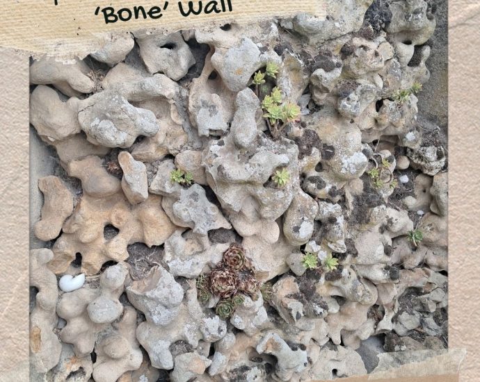 There's an ancient feature in old French gardens that looks like a wall made of bones, and I have one in my garden here at PumpjackPiddlewick